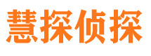 泸溪侦探公司